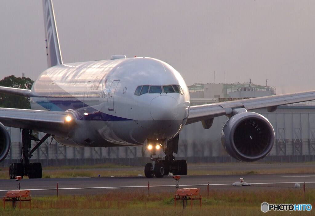 復活の日へ✈ＡＮＡ