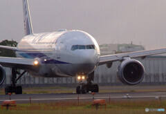 復活の日へ✈ＡＮＡ