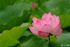 君を求めて・Weekend