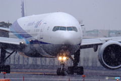 雪が舞う！・777