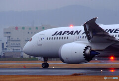 Rain Star★Boeing 787