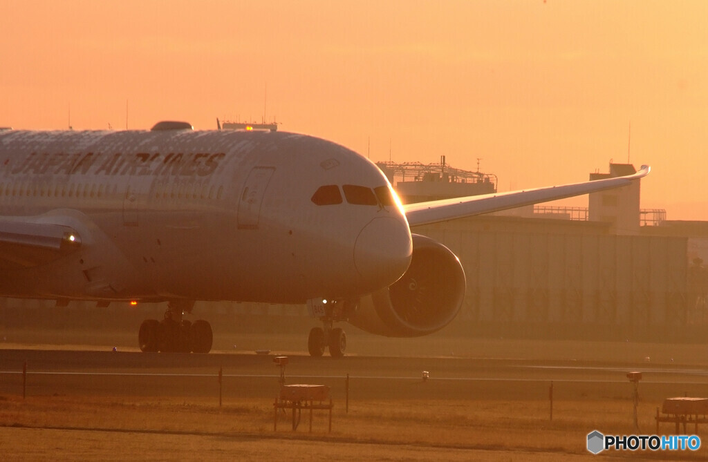 2月の空へ✈787