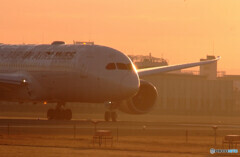 2月の空へ✈787