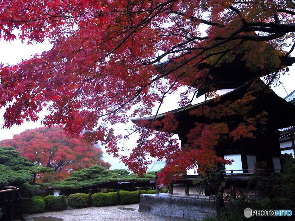 朝霧の京都