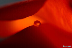 凛として✿皐月の瞳