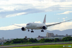 Sky in July✈Boeing 787-8