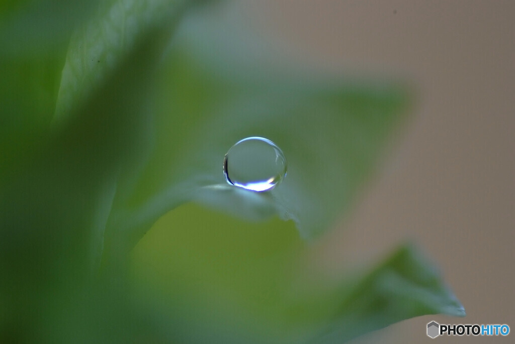 一粒の雫❁長月の午後