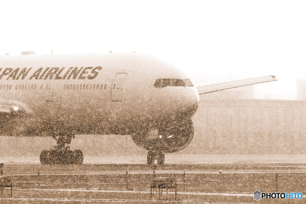 白銀の世界Ⅳ・JA733J