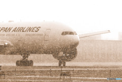 白銀の世界Ⅳ・JA733J