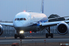 January morning✈Boeing 787-9