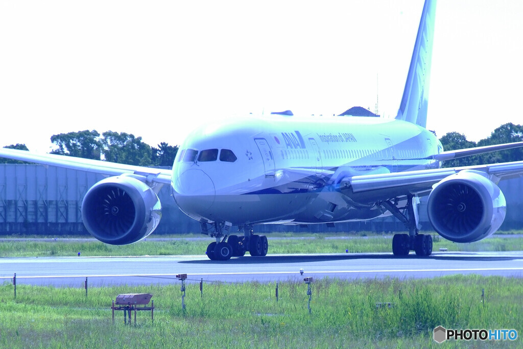 蒼が飛ぶ✈July2021
