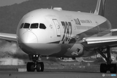 SUNDAYSTAR・（Ⅶ）