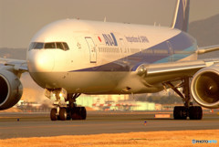 朝日に向かって!Boeing 777-281/ER. 朝日に向かって!Boeing 777-281/ER.