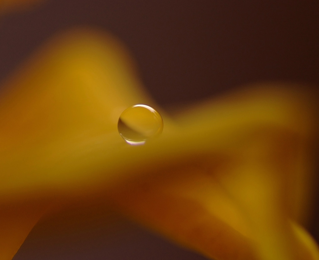 想い玉・雫（Ⅹ）