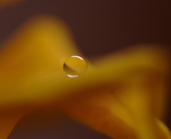 想い玉・雫（Ⅹ）