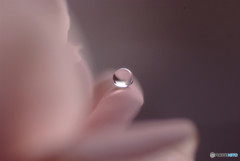 永久に美しく・雫