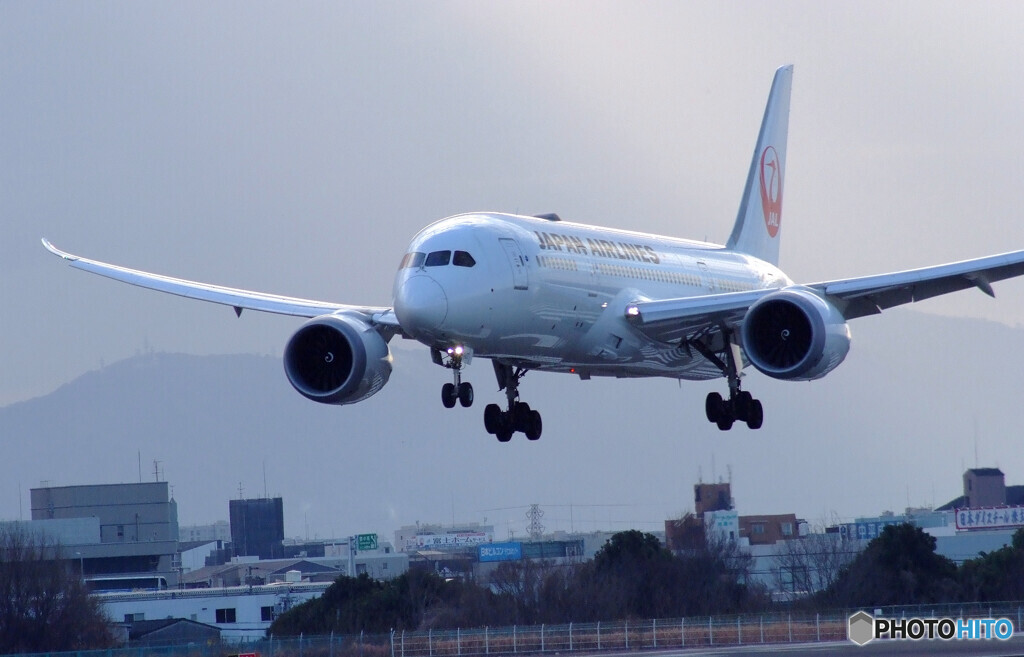 Sunday in February☆Boeing 787-8
