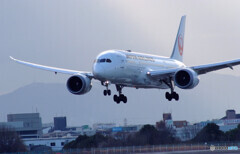 Sunday in February☆Boeing 787-8