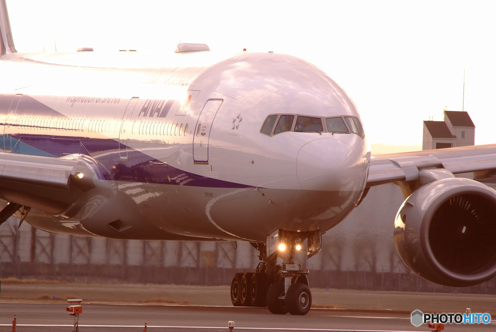 Beautiful MorningⅤ・JA717A