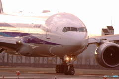 Beautiful MorningⅤ・JA717A