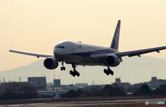 March MorningⅡ★Boeing777-200