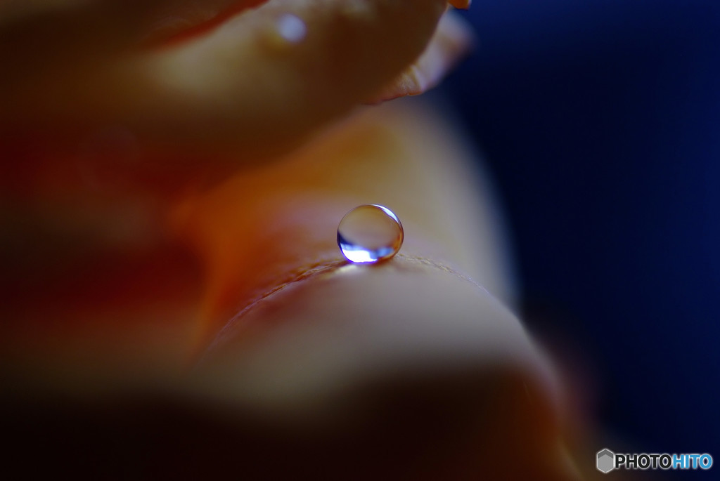 新しい出会い・雫