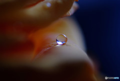 新しい出会い・雫