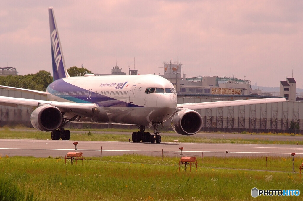 Good Morning Bird✈767