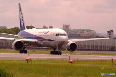 Good Morning Bird✈767