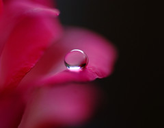 涼月の惑星・（Ⅱ）