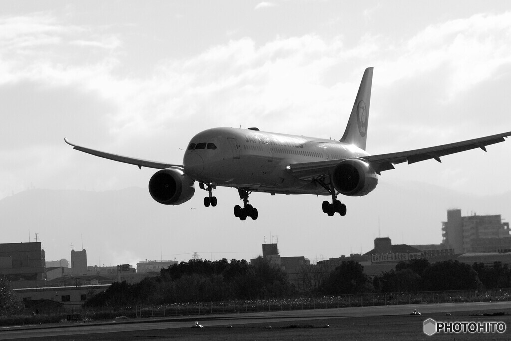 Morning of the 24thⅩ✈Boeing 787-8
