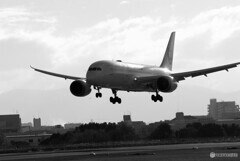 Morning of the 24thⅩ✈Boeing 787-8