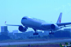 蒼の時代✈A350-900