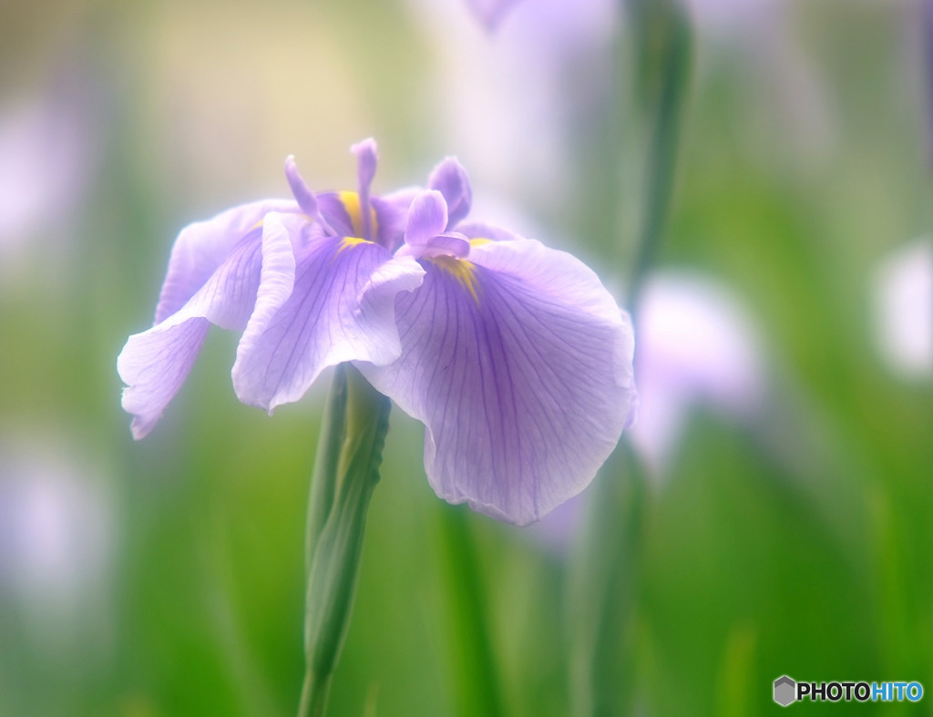 永遠の時・第1章