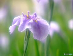 永遠の時・第1章