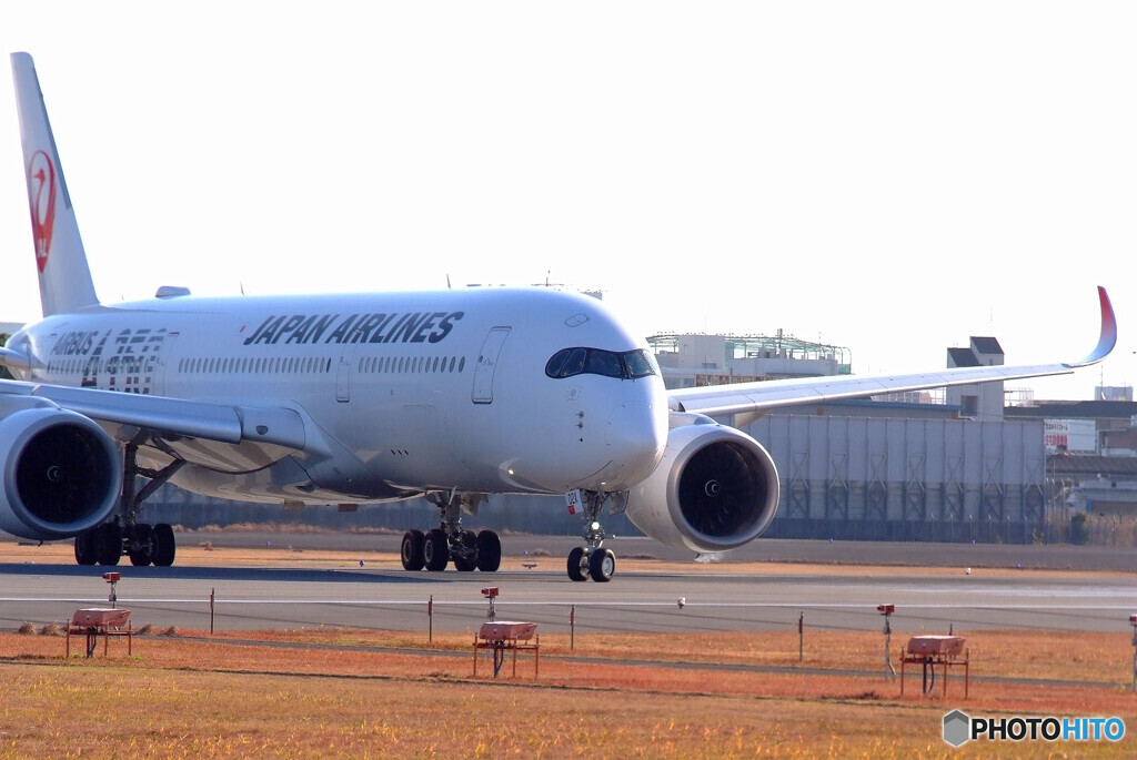 極月の翼Ⅱ✈JA02XJ