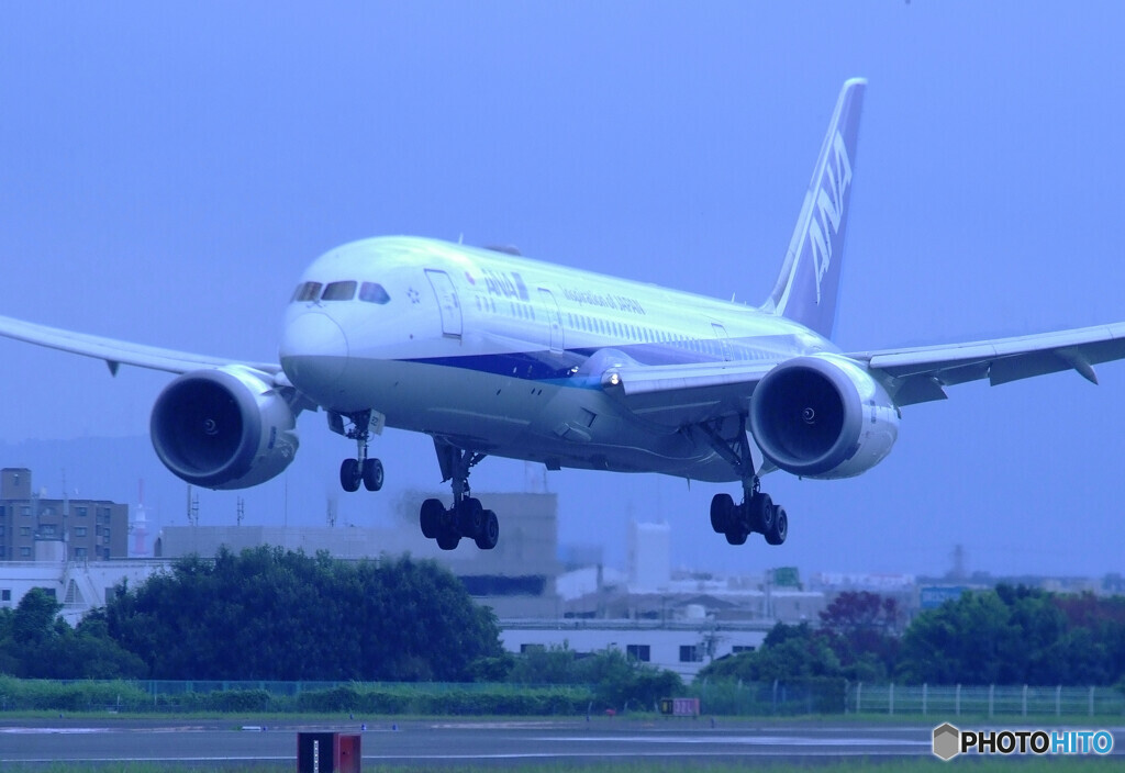 蒼が来る✈Dreamliner