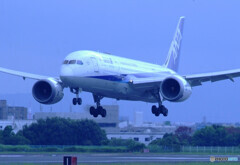 蒼が来る✈Dreamliner