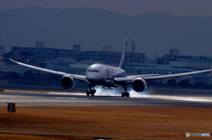787-8 Dreamliner・降臨