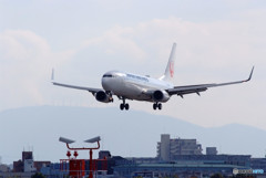 Elegant・737