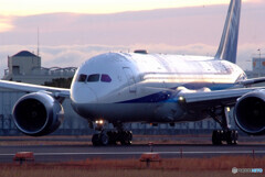 December Morning✈Boeing787