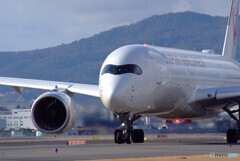 White Knight ✈A350-900