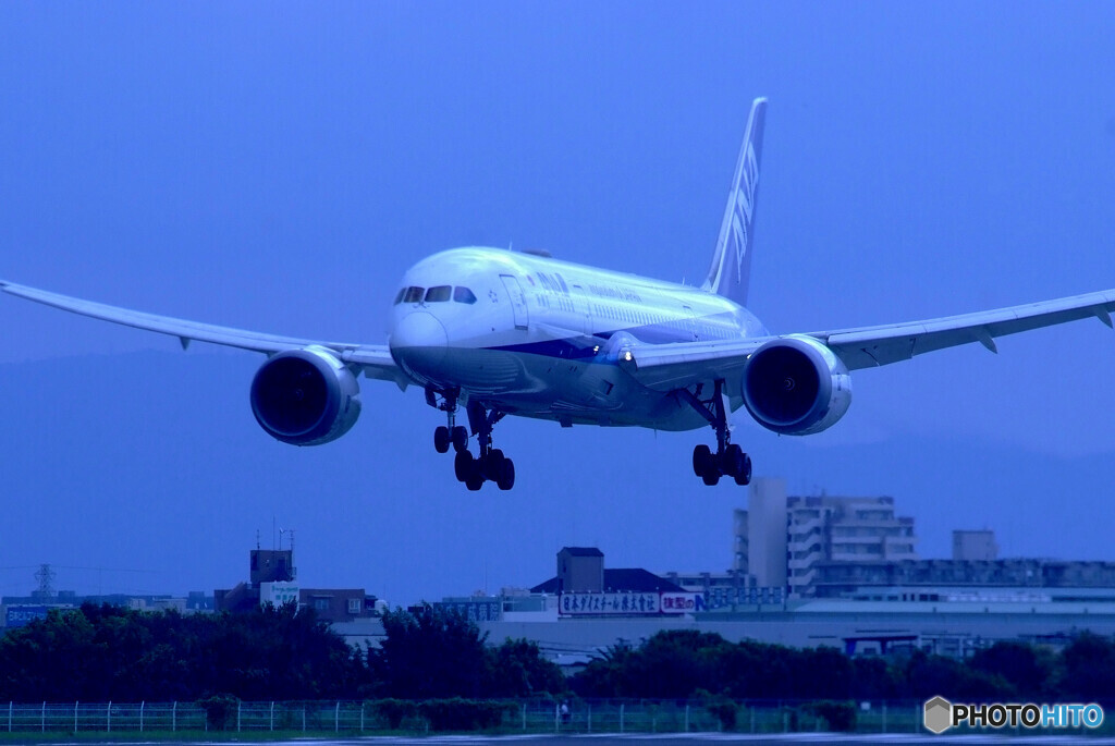 癒しの時間Ⅹ✈2020夏