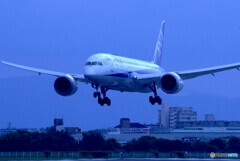 癒しの時間Ⅹ✈2020夏