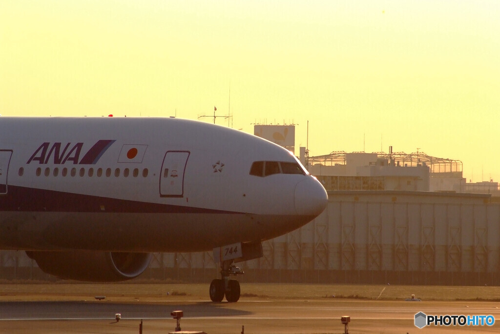 会いにいこうⅦ✈ANA Boeing777-200