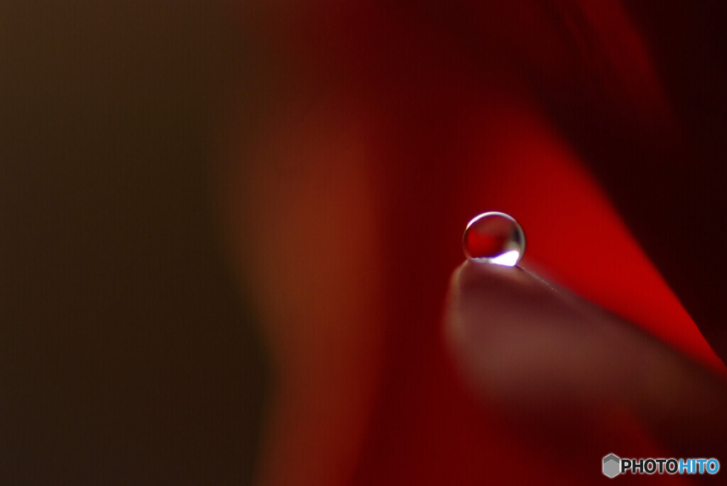 やすらぎの時✾雫