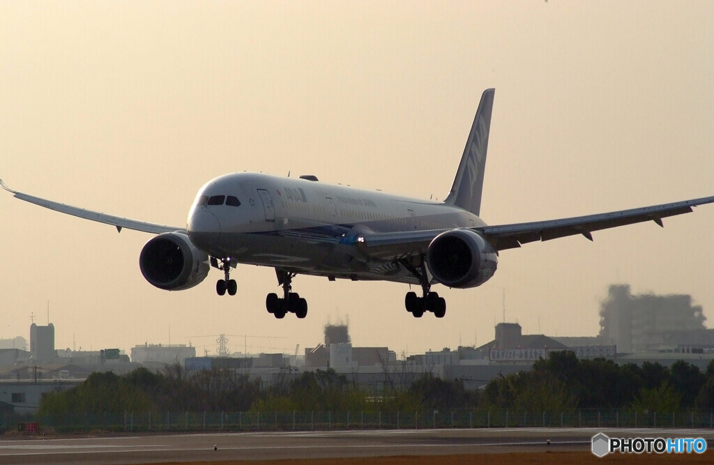 最後の日曜日✈Boeing787-9