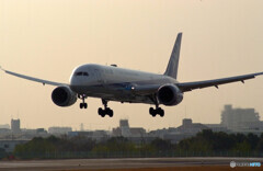 最後の日曜日✈Boeing787-9