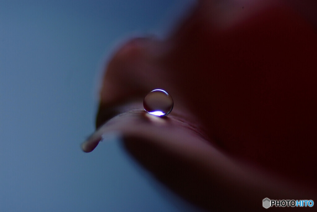 今宵の月のように✾雫