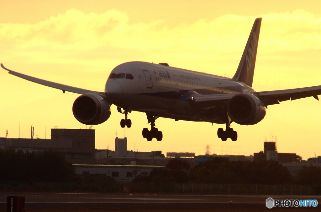 朝焼けの空から✈787